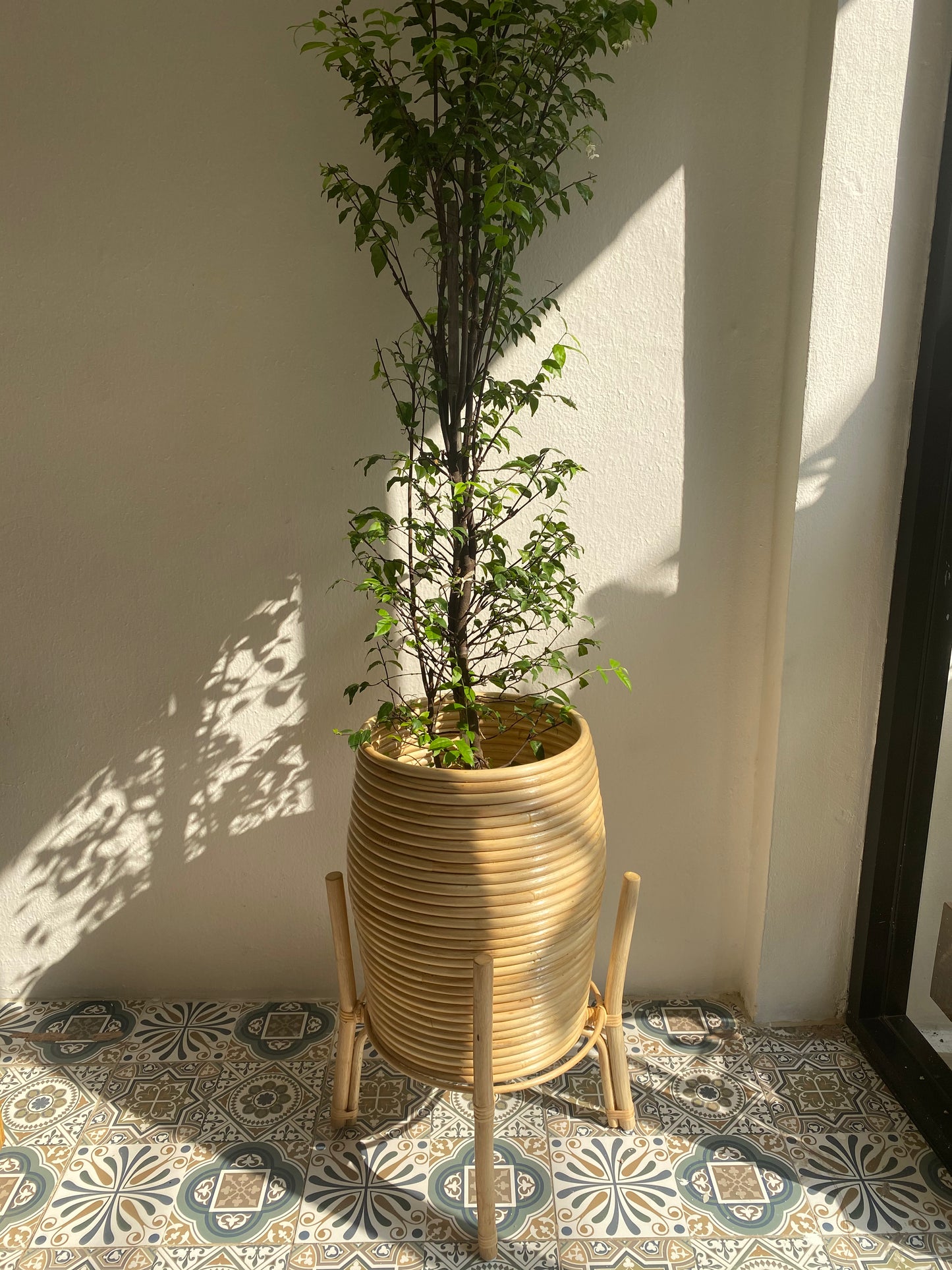 Rattan Plants pot