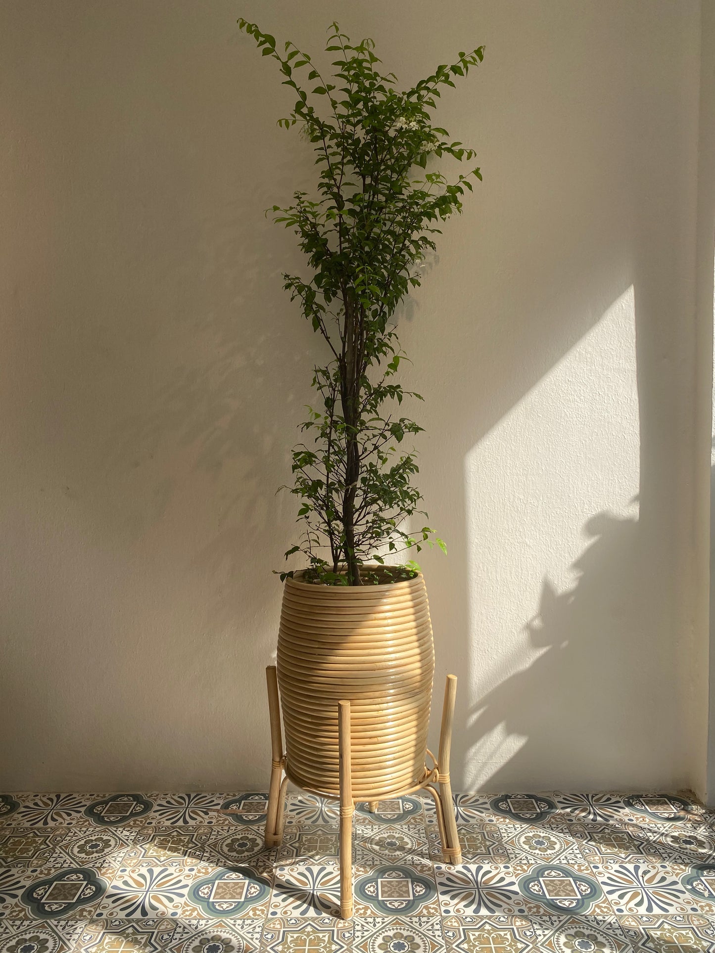 Rattan Plants pot