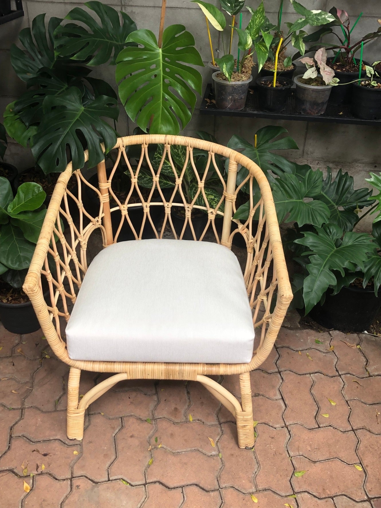 Urban Rattan Armchair