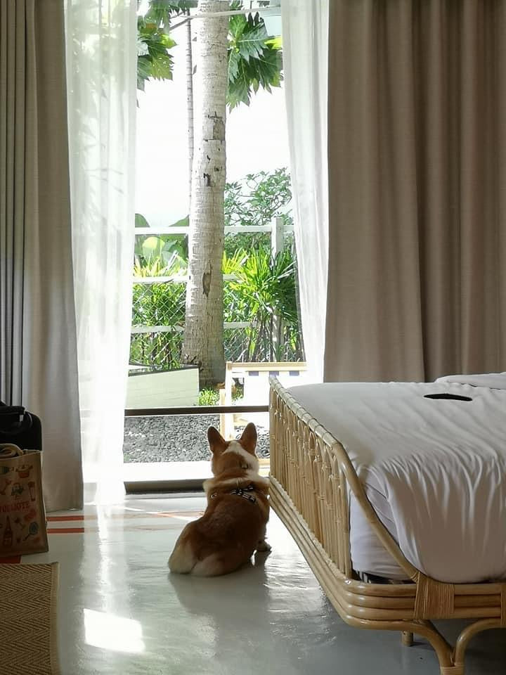 Mardi Rattan Bed