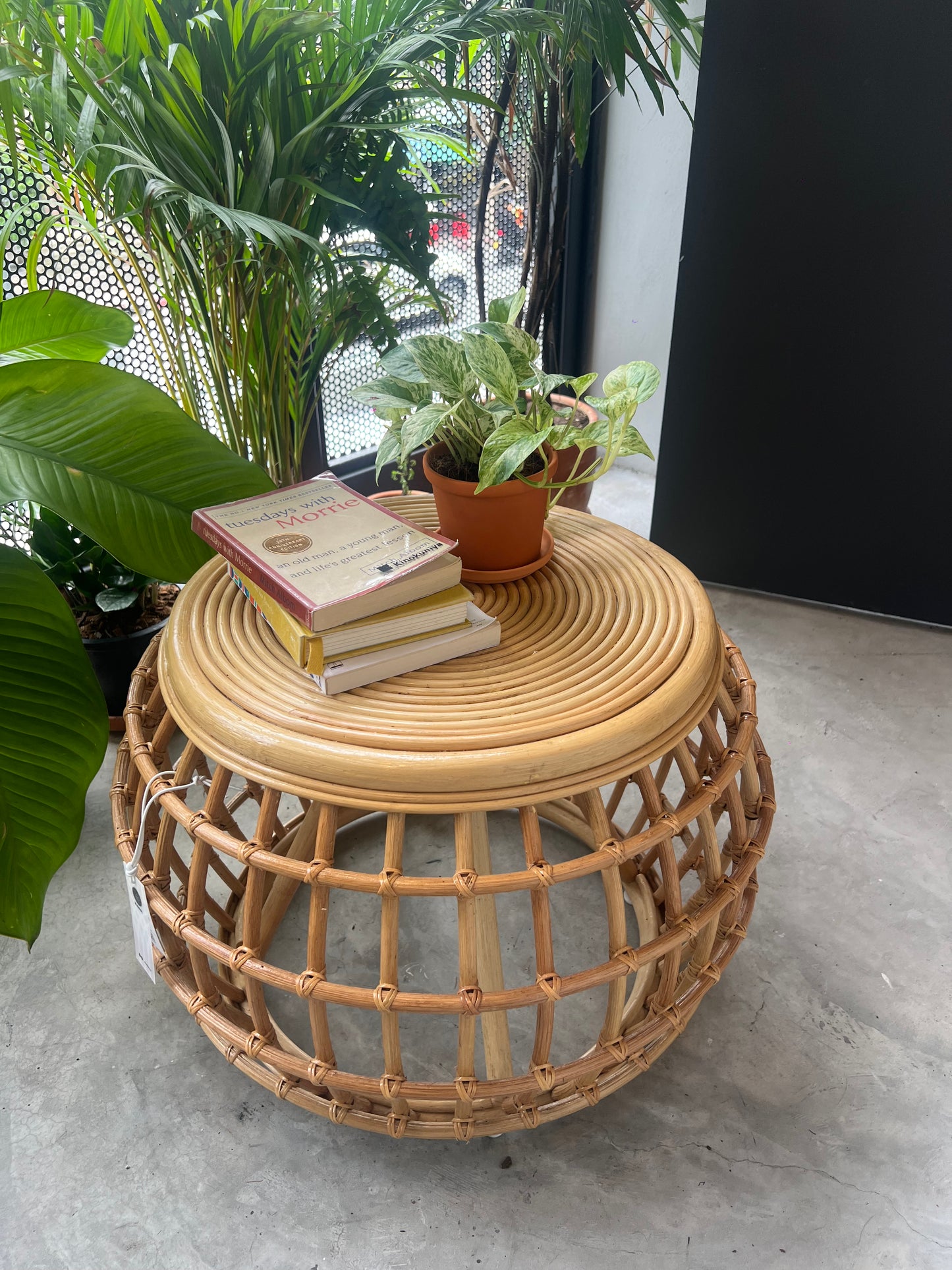 Railey Rattan Coffee Table