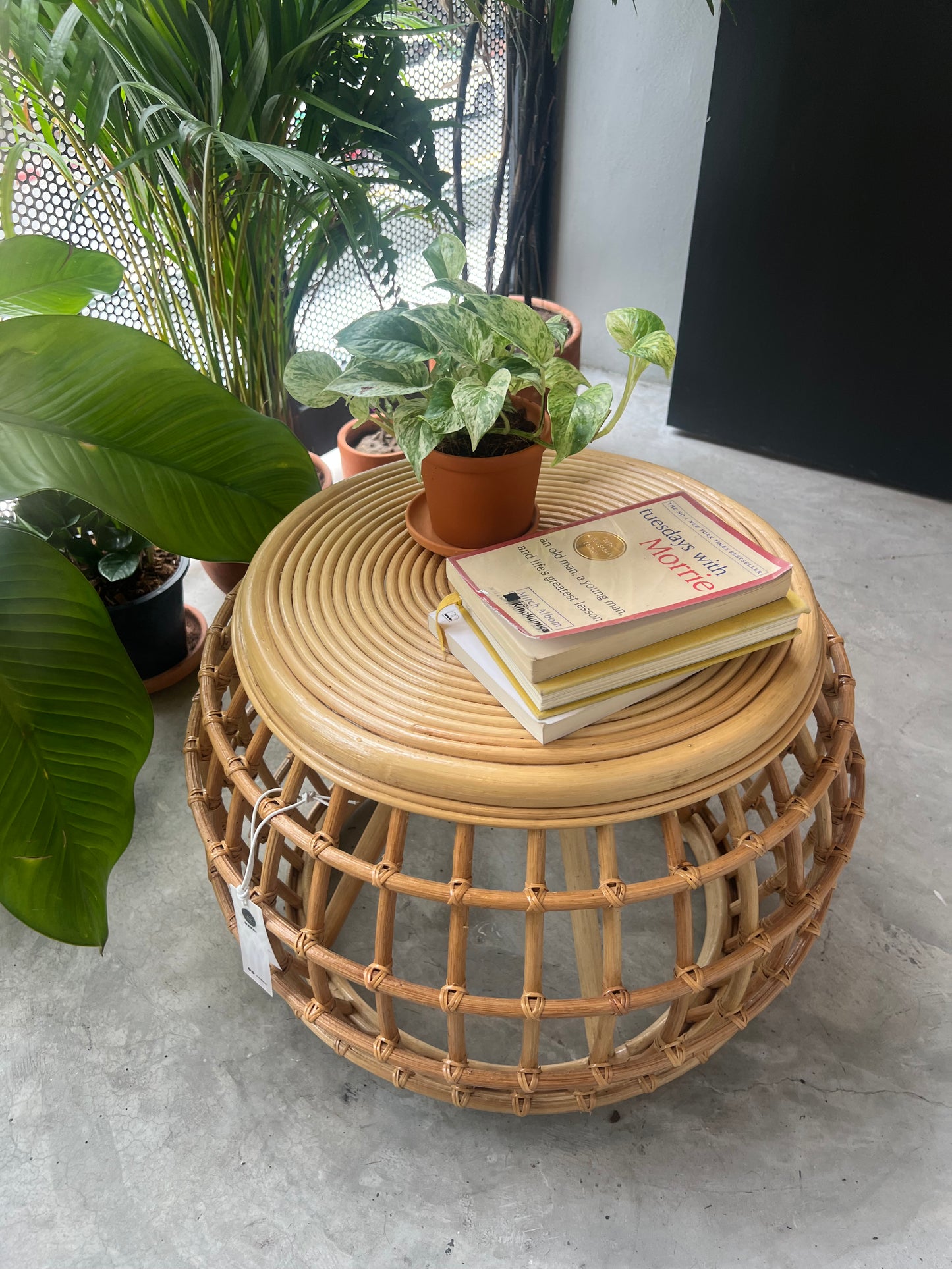 Railey Rattan Coffee Table