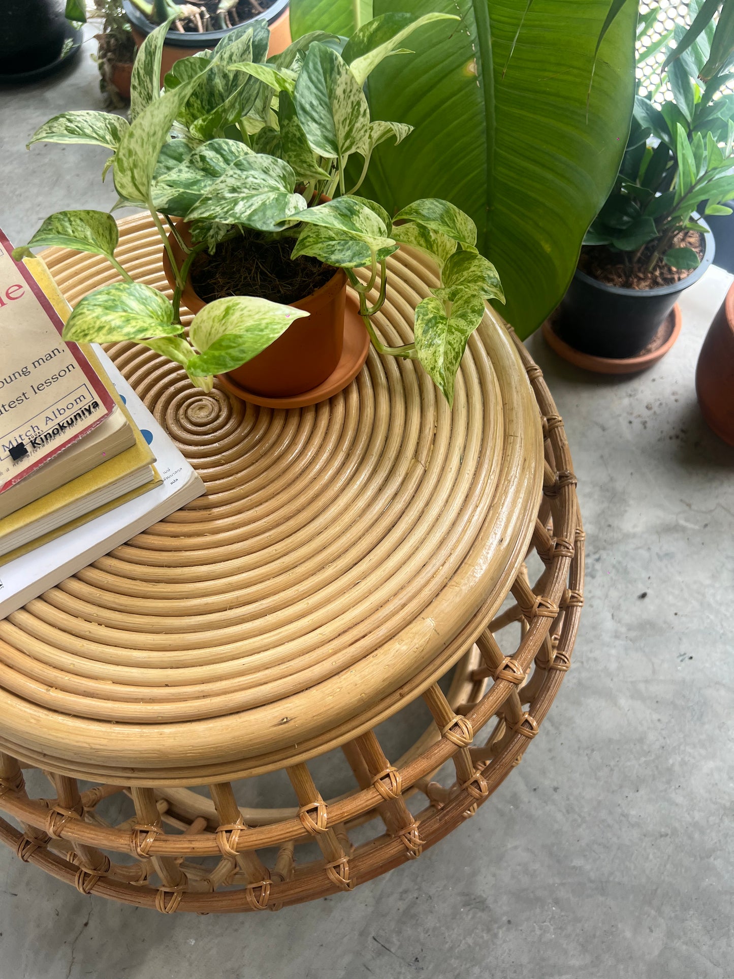 Railey Rattan Coffee Table