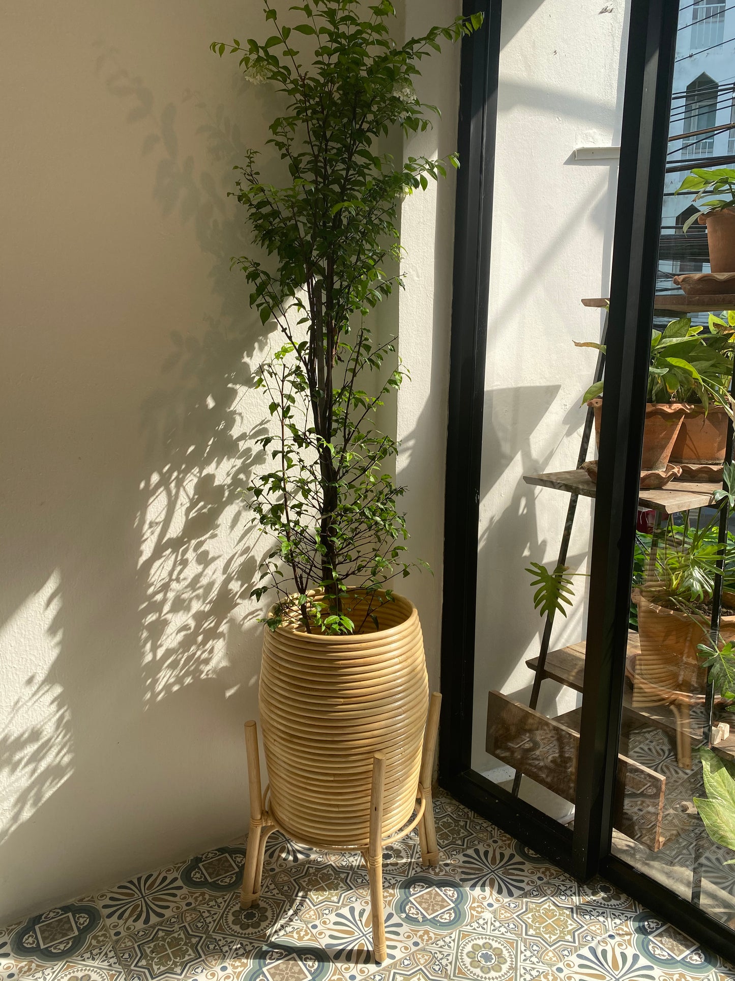 Rattan Plants pot